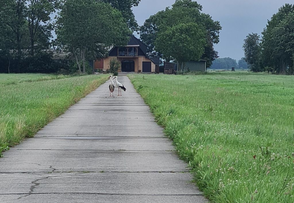 Emplacement à la ferme-Nature entre Elbe & Weser