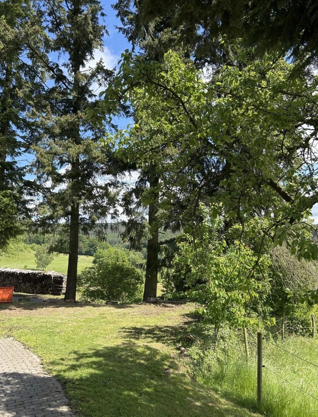 Piazzola immersa nel verde: Waldrand Hofcamp
