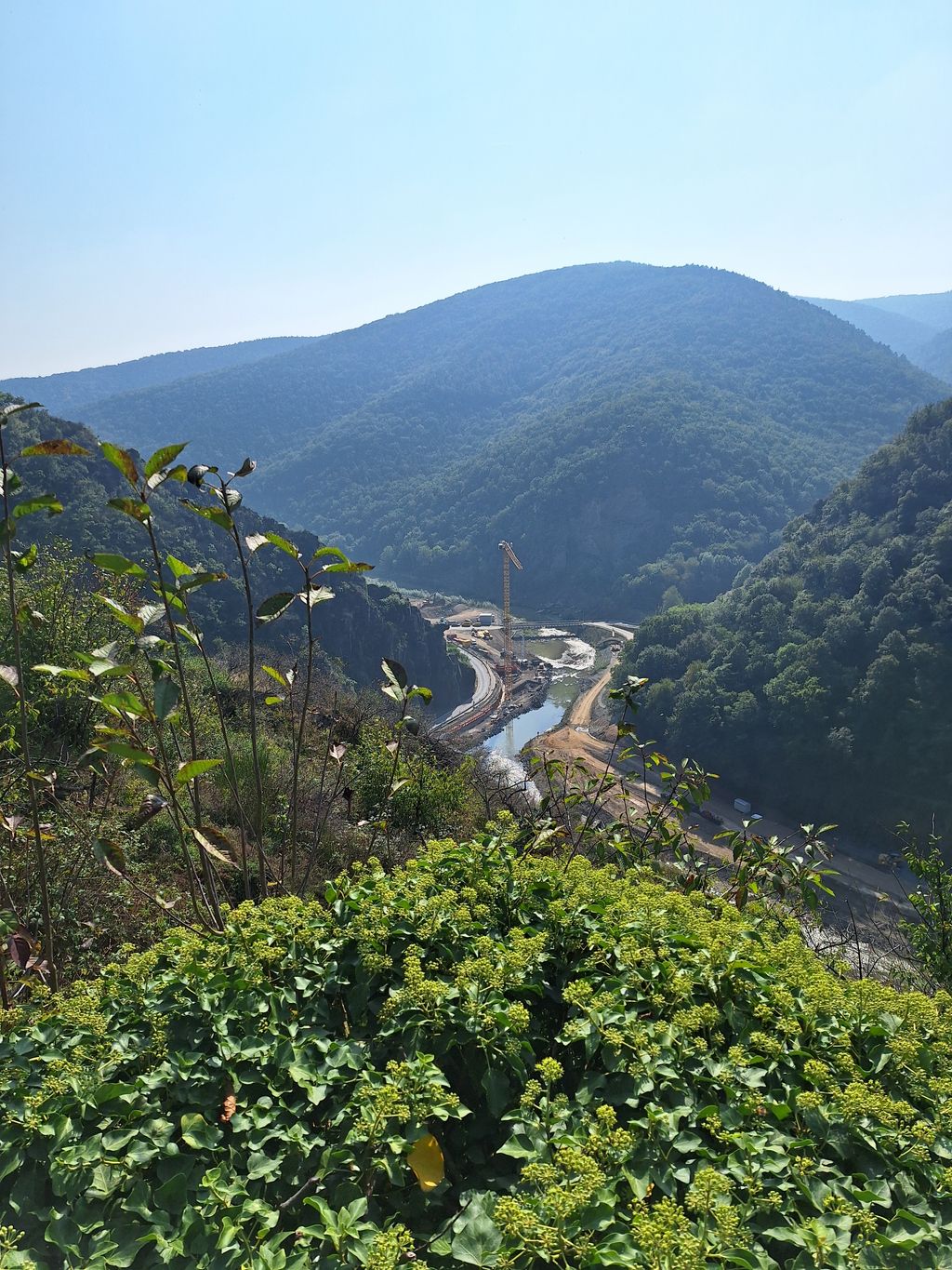Zelten im schönen Ahrtal mit Weinberg-Blick