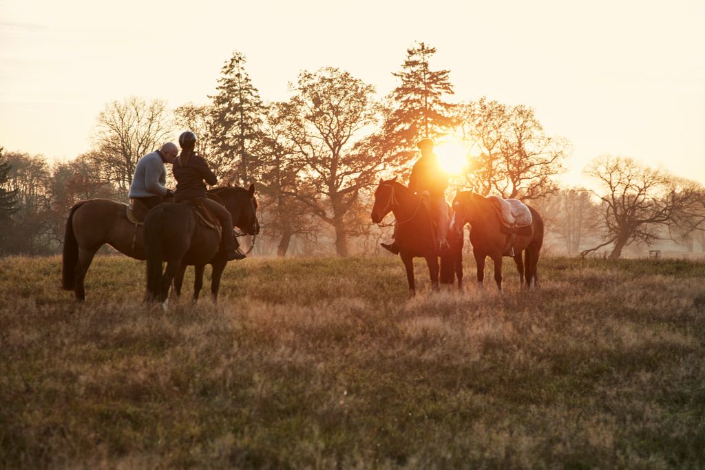 Camping on Argentine horse ranch in MV