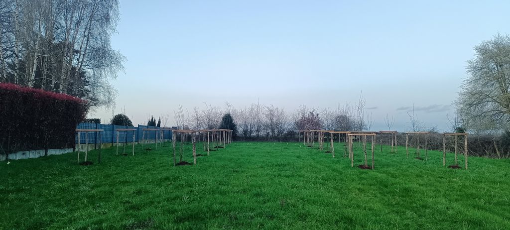 Parking spot in the orchard meadow