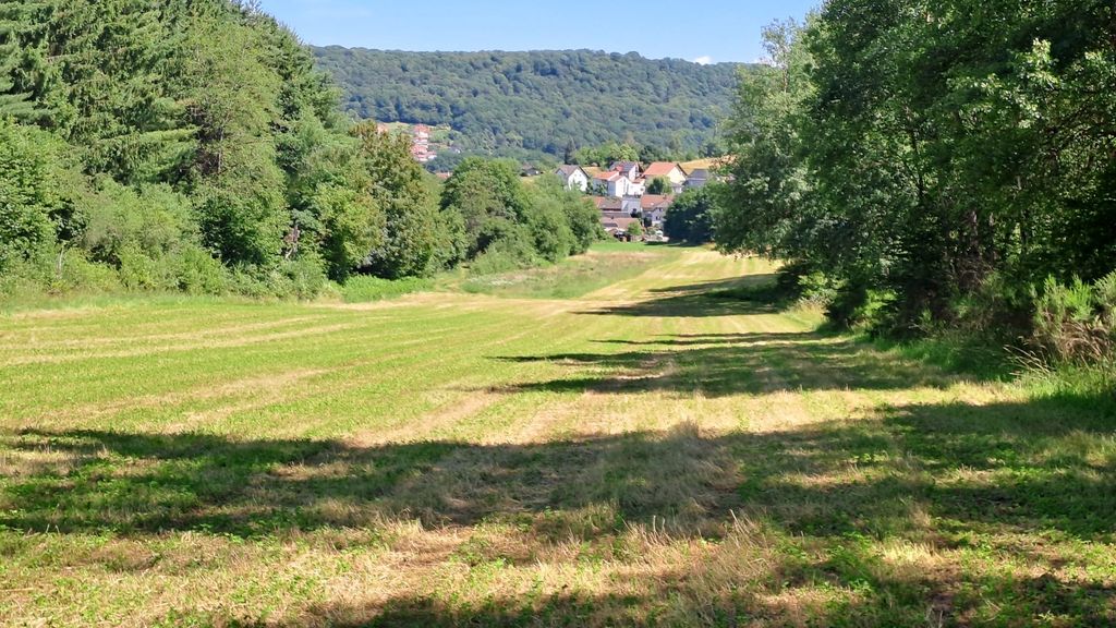 Aussicht