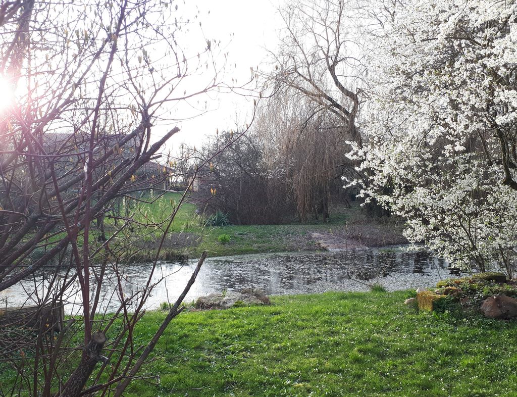 Experience nature near Jena