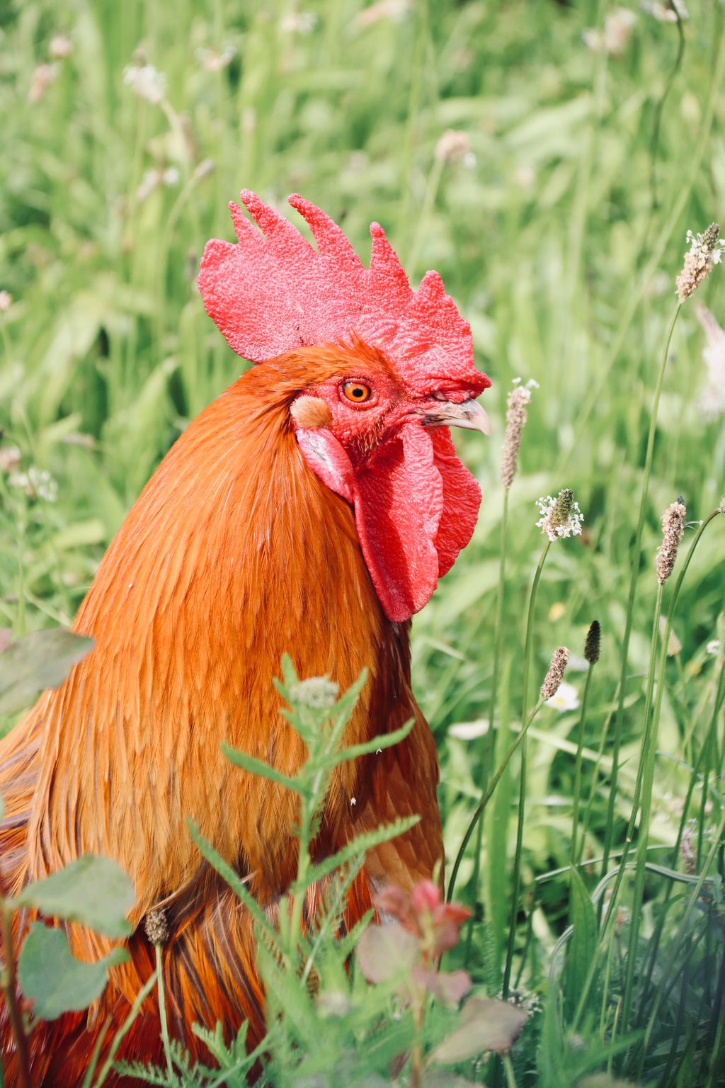 Bienvenido al corazón de la Baja Franconia
