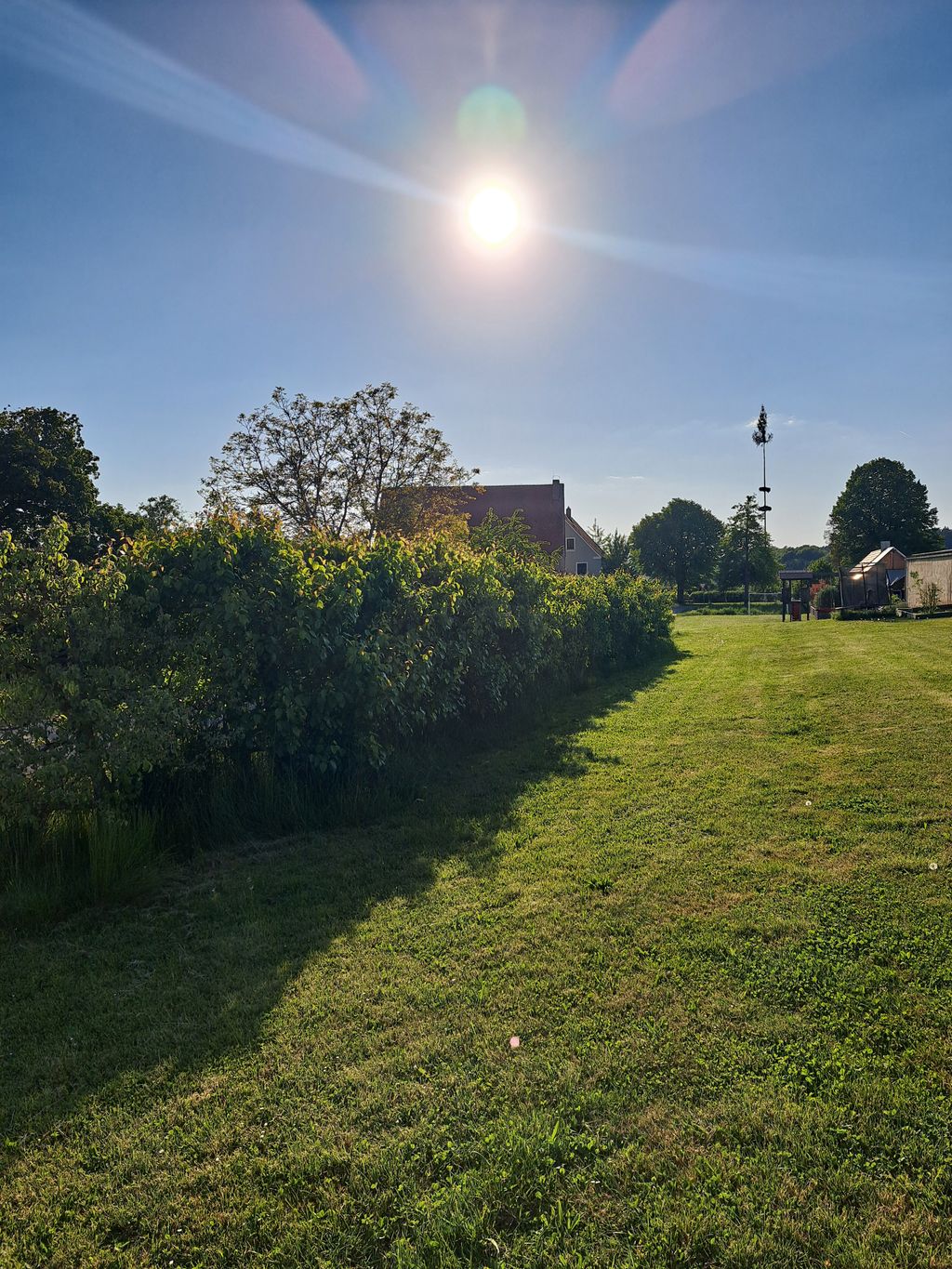 Un tempo meraviglioso nel villaggio delle ciliegie