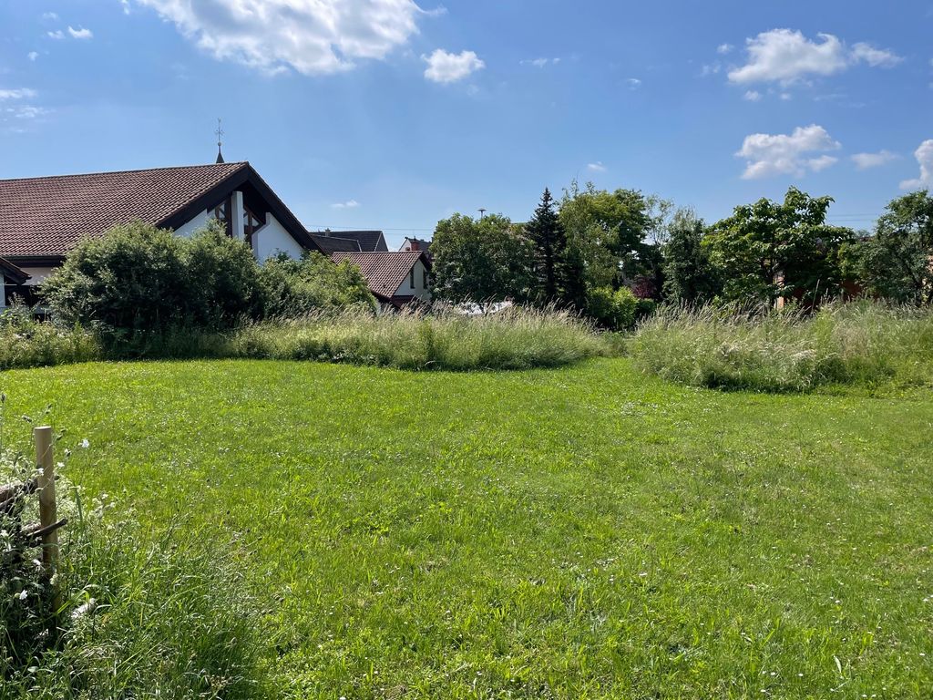 A place on the green meadow is sure for you