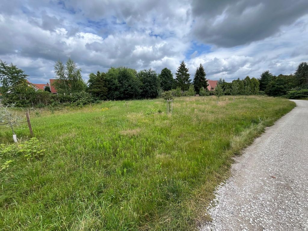 Vue dégagée sur les marais : champs, ciel, silence