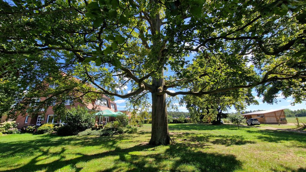 Camping by a green quarry pond in the middle of nature
