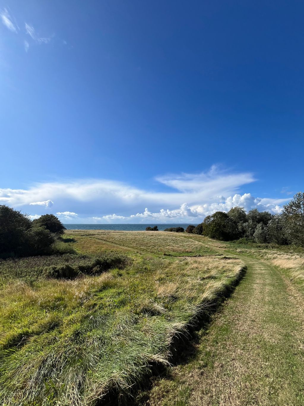 Camping am Meer – Insel Ærø erleben