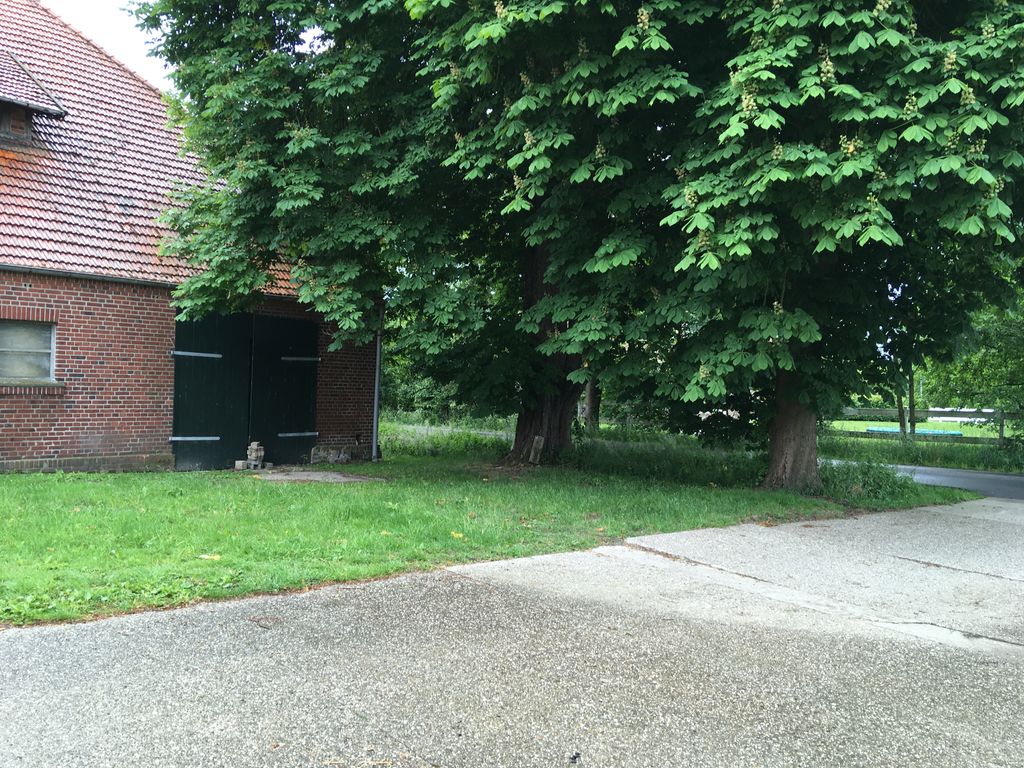 Campeggio sotto i castagni vicino al castello di Nordkirchen