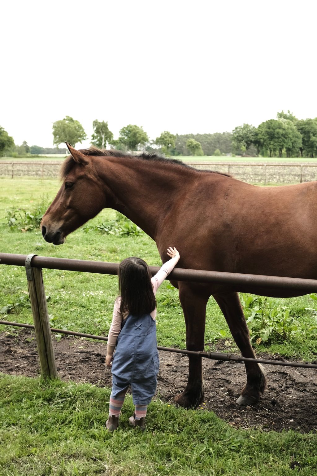 Equitazione e campeggio nell'idilliaco maneggio LG Heide