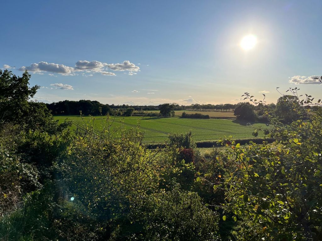 Vue dégagée sur les marais : champs, ciel, silence