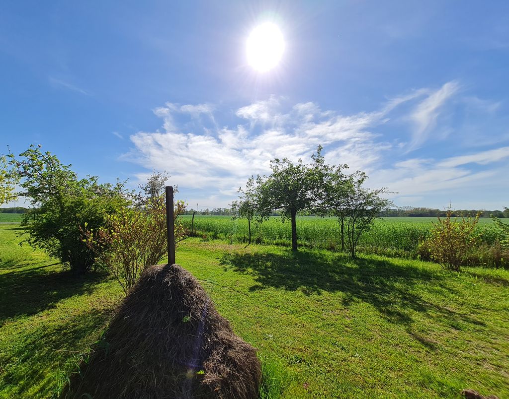 Campen mit Sonnenuntergang im Spreewald 