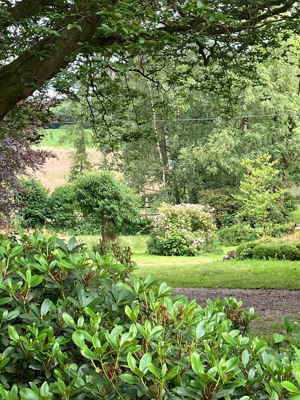 Parcela junto a pasto para caballos y estanque natural
