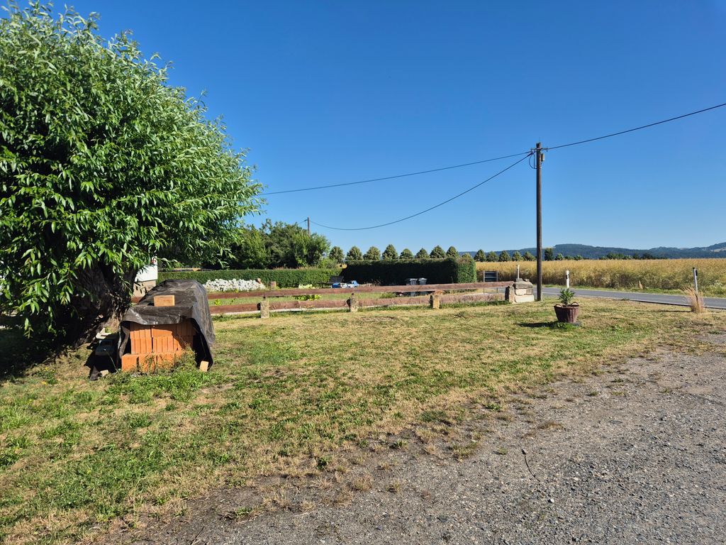 Pitch in the heart of Saxon Switzerland