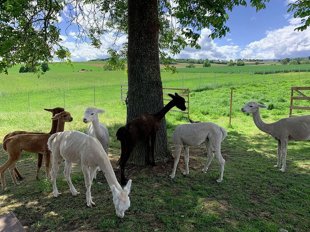 Idílica casa de campo en un lugar apartado
