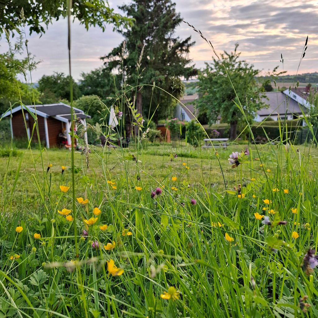 Campeggio tranquillo in un giardino naturale creativo