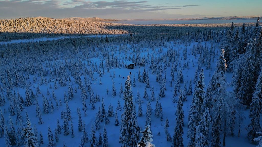 rustic log cabin "Mad Muskox" - border to wilderness