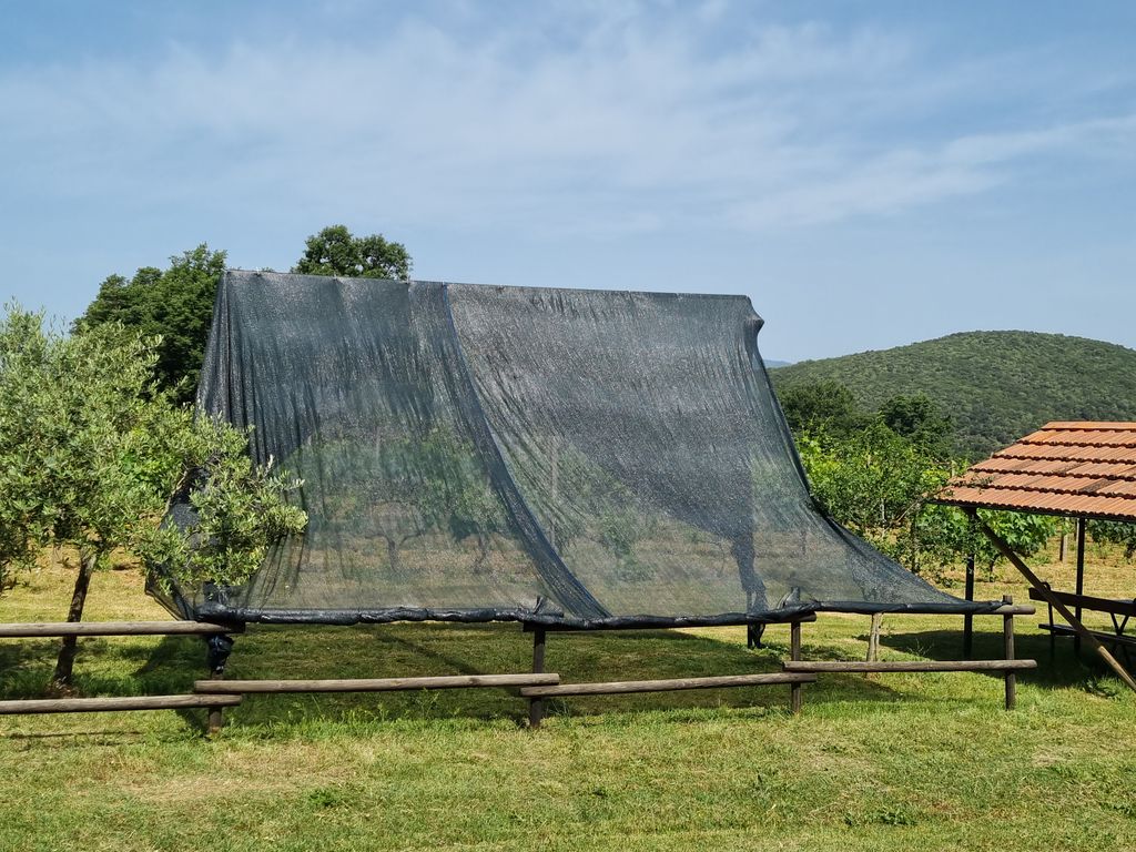 Relaxing camping in authentic Tuscan farmhouse
