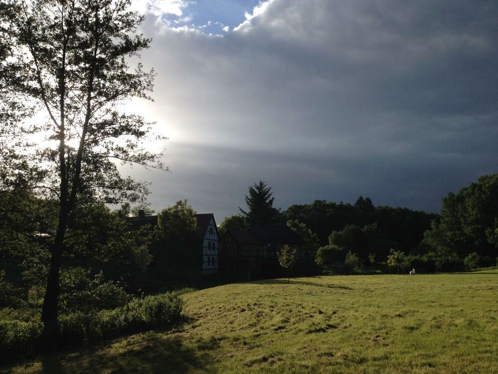 Large meadow between forest and mill in the Taunus