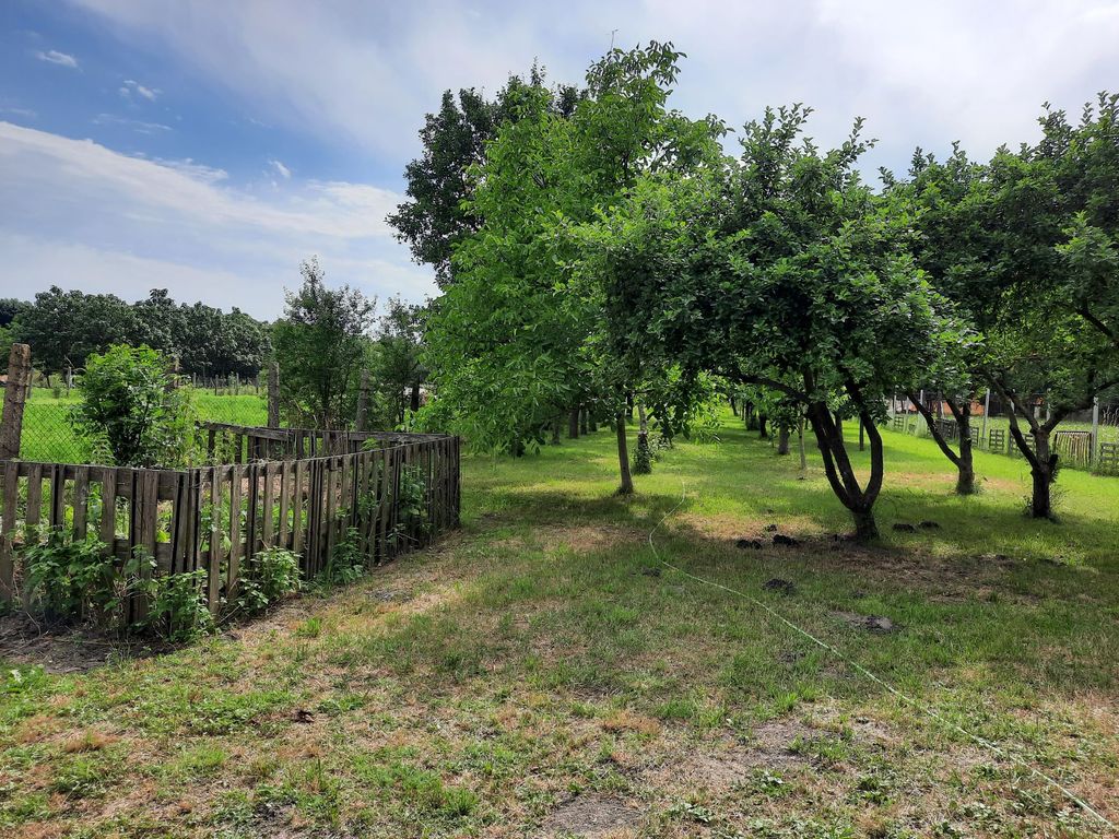 Time out in Hungary - idyll in the countryside