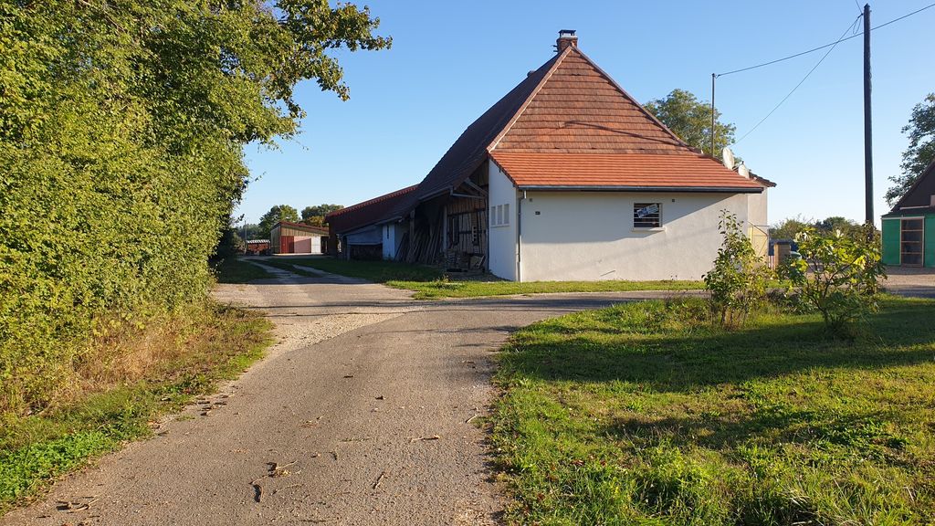 Aire de camping-car avec des chevaux en arrière-plan