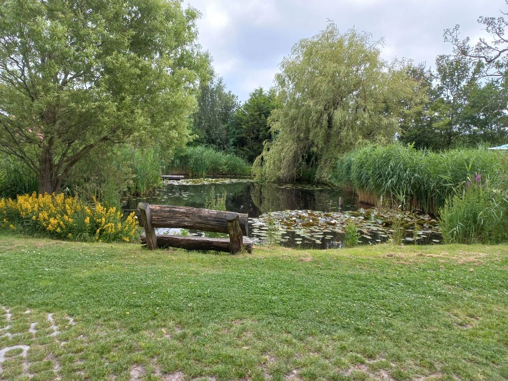 Passare la notte nel mio giardino vicino allo stagno