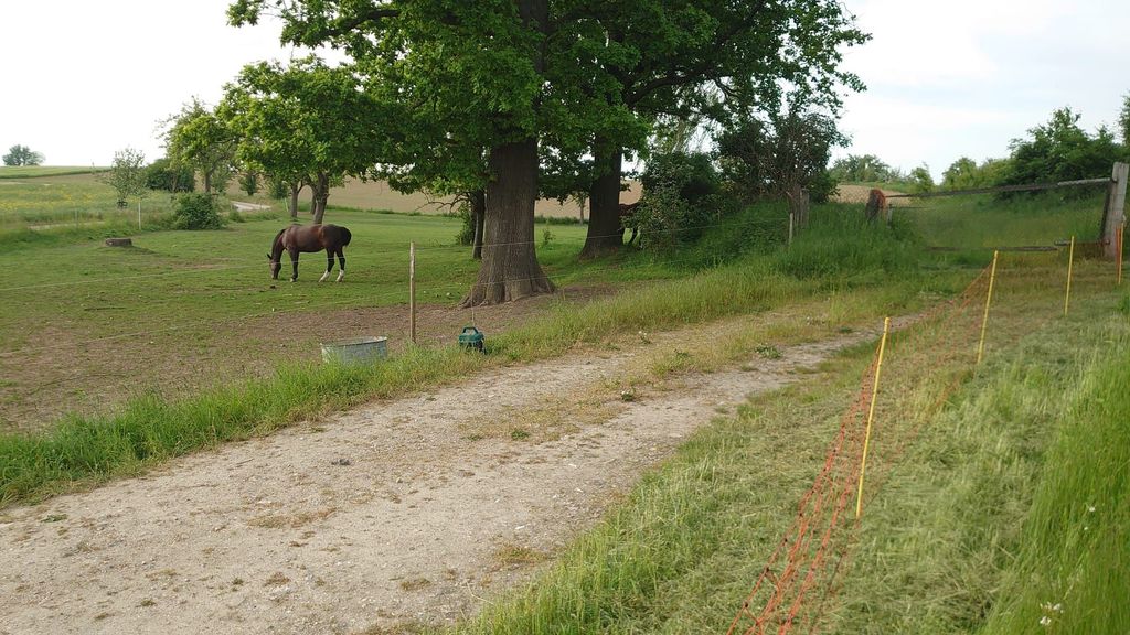 Prato quasi naturale in una vecchia cava di sabbia