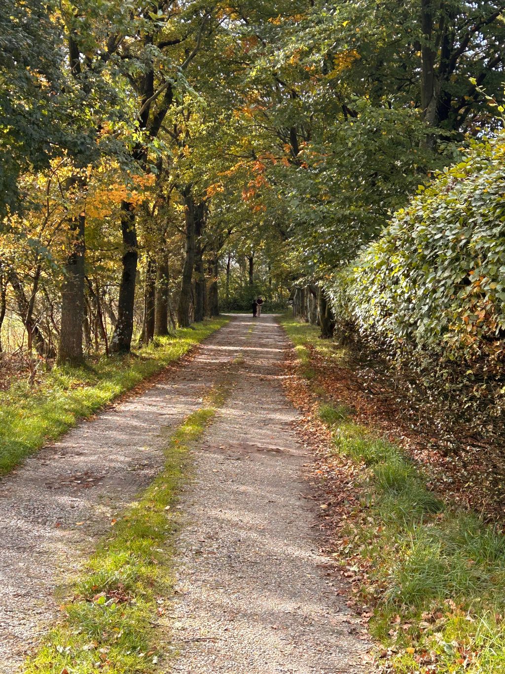Vacation on a farm in Denmark