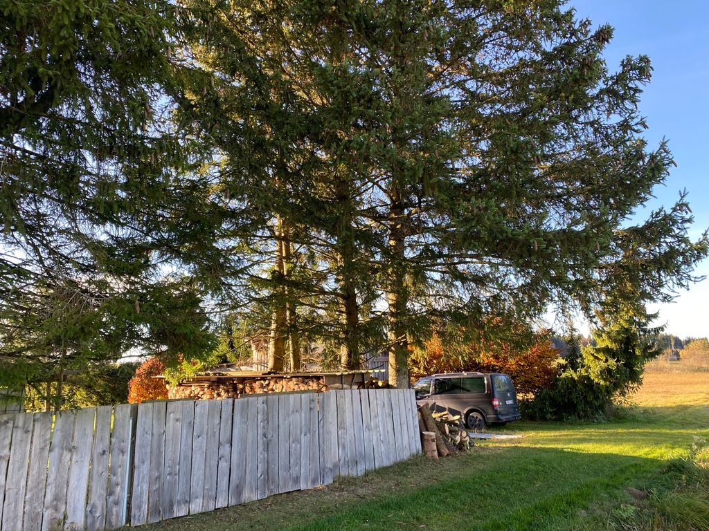 Alleinlage am Rand eines Niedermoores