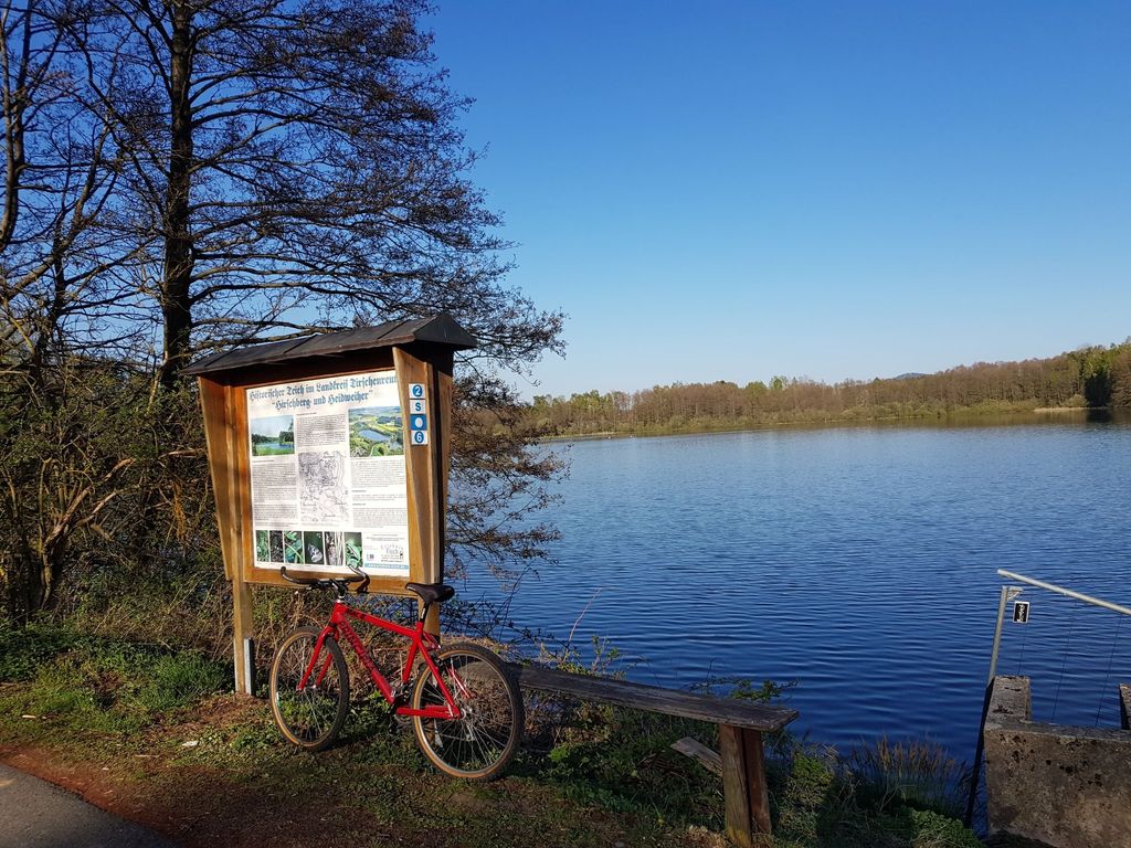Camping on the horse meadow