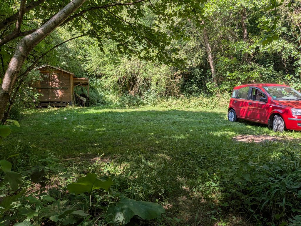 Área de acampada natural junto al arroyo, en la zona de las tres fronteras