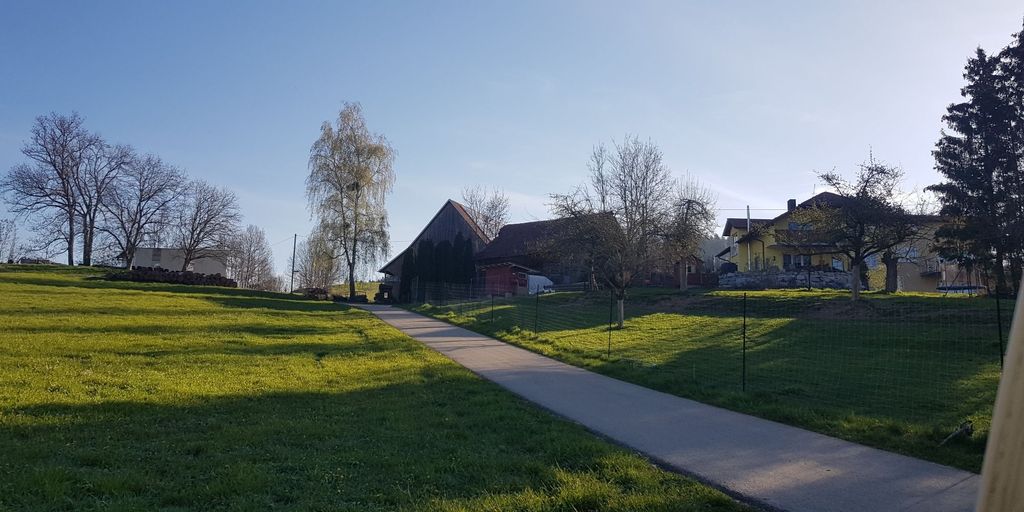 Pradera de ciervos con una maravillosa vista del valle