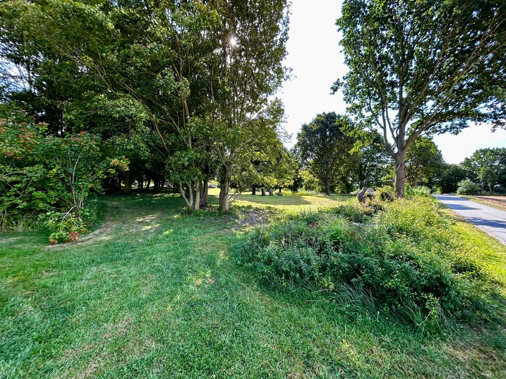 Schöner Panorama-Platz umgeben von alten Bäumen