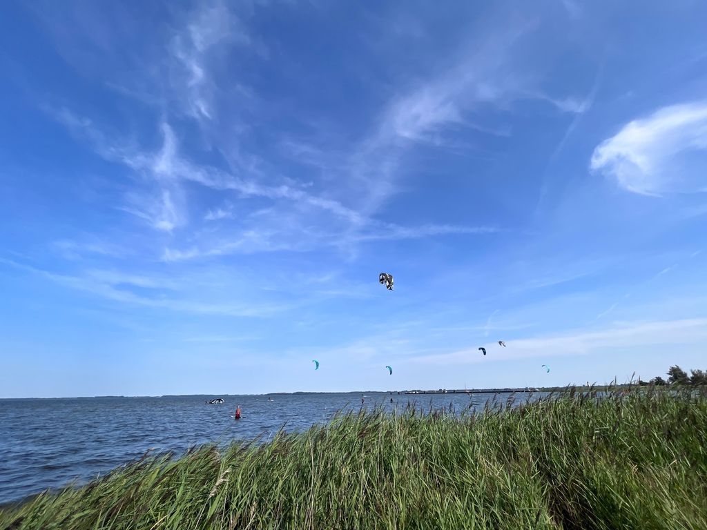 Olvida tus planes, ¡vete al Mar Báltico!