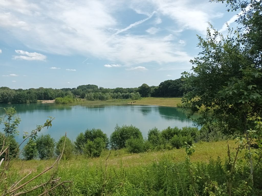 Panorama zwischen Teutoburger Wald & Weserbergland