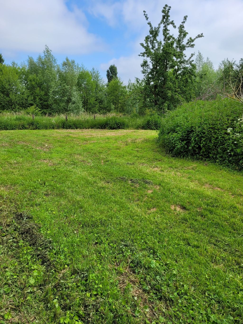 Wiese am Quellteich zwischen Werl und Unna