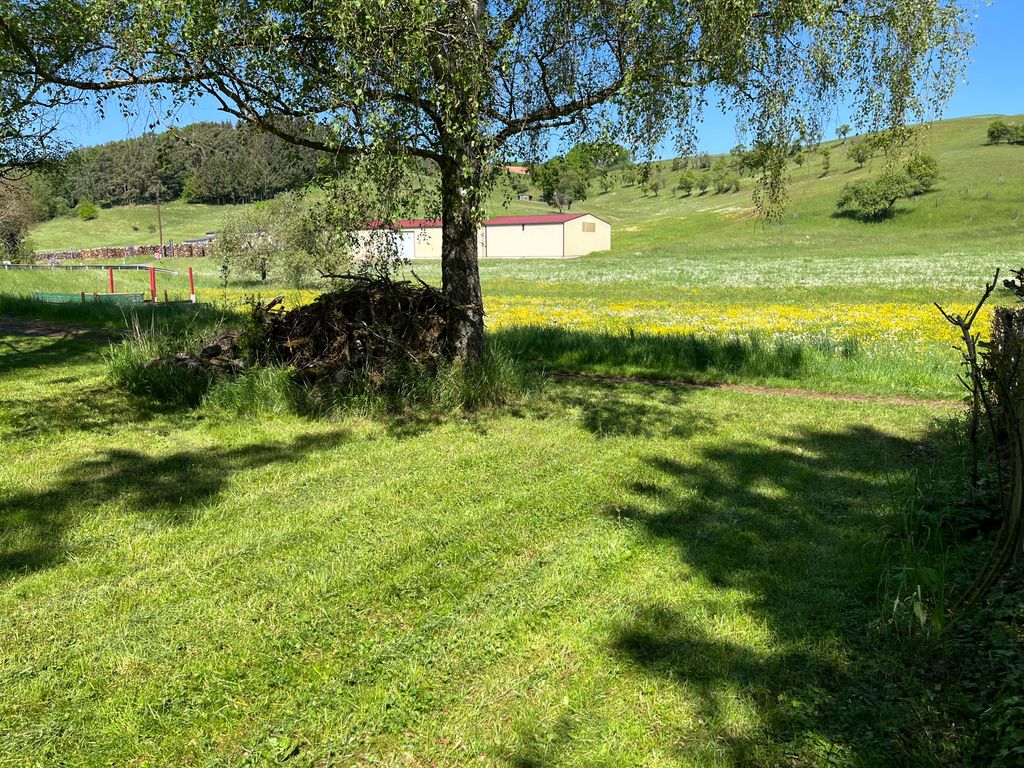 Gartencamping unterm Altbaumbestand: Natur pur