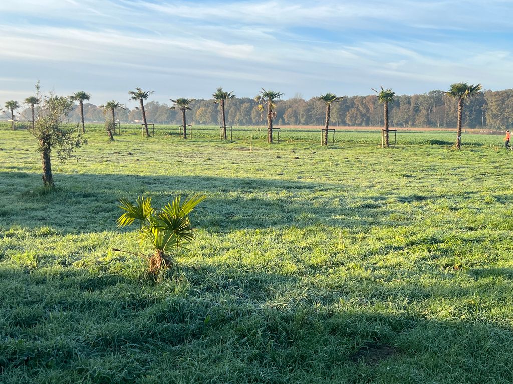 Mediterranean nature experience on the Lower Rhine
