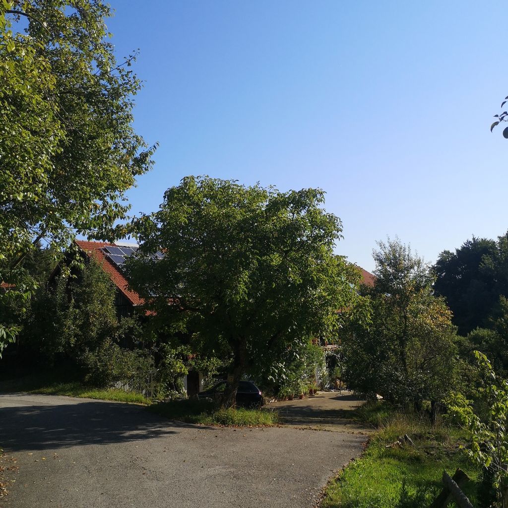 Vivere la natura nella fattoria biologica di Pfaffenwinkel
