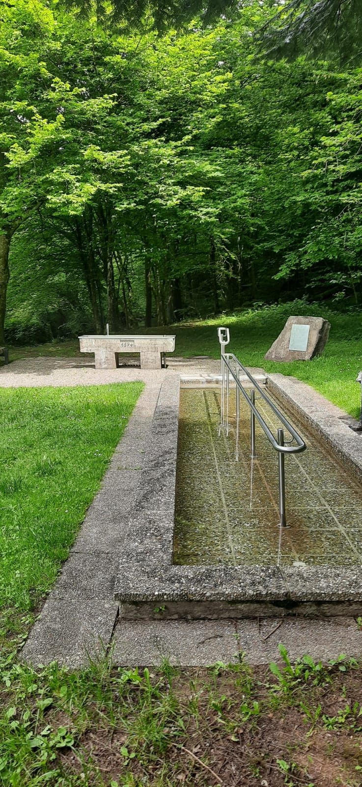 Neben dem Bach im idyllisches Marienthal