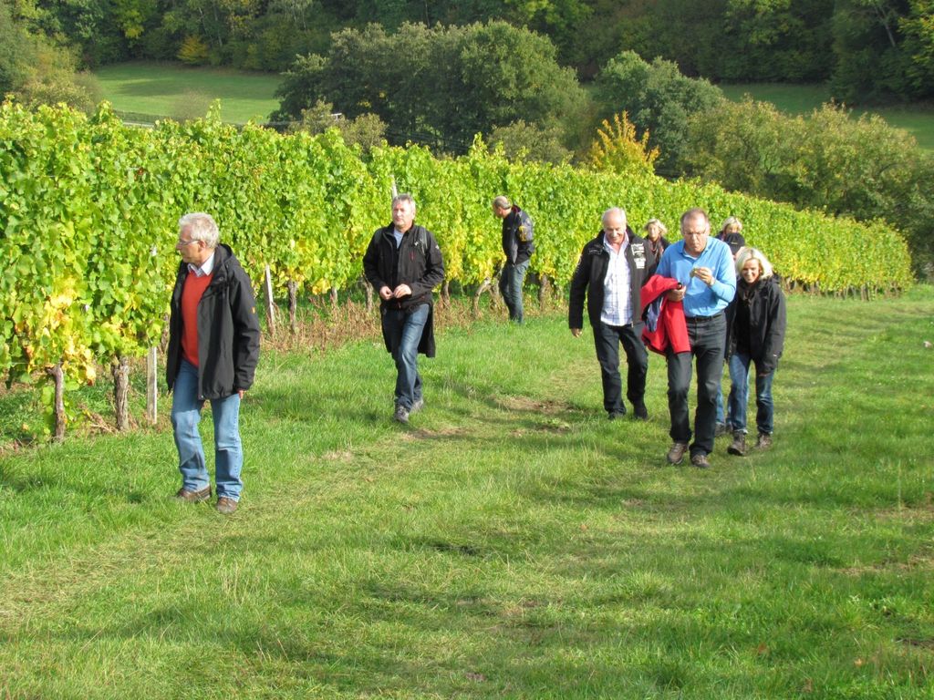   Weingut in Franken mit Weinstube und Terrasse