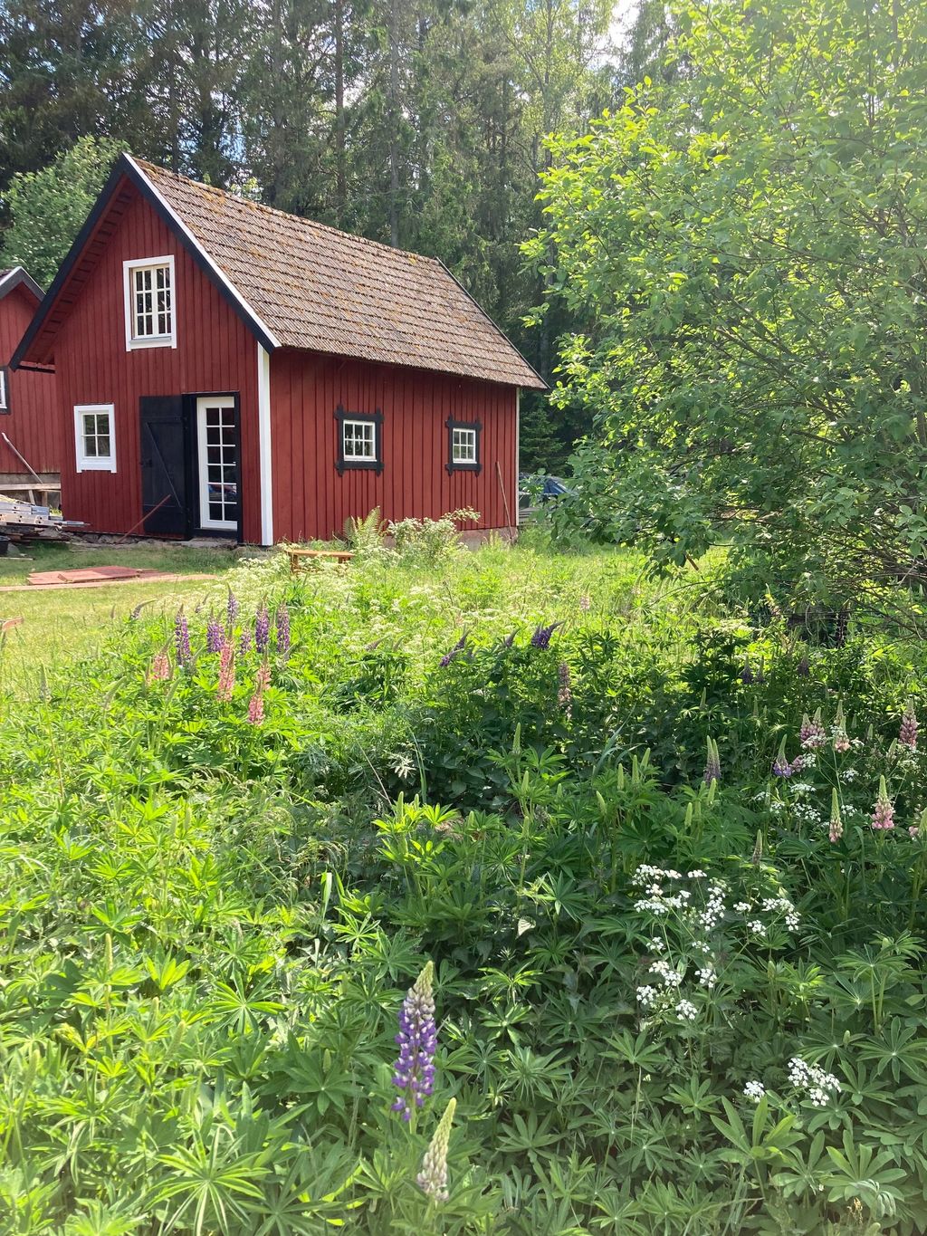 TinyHouse in Südschweden -Off Grid Cabin-