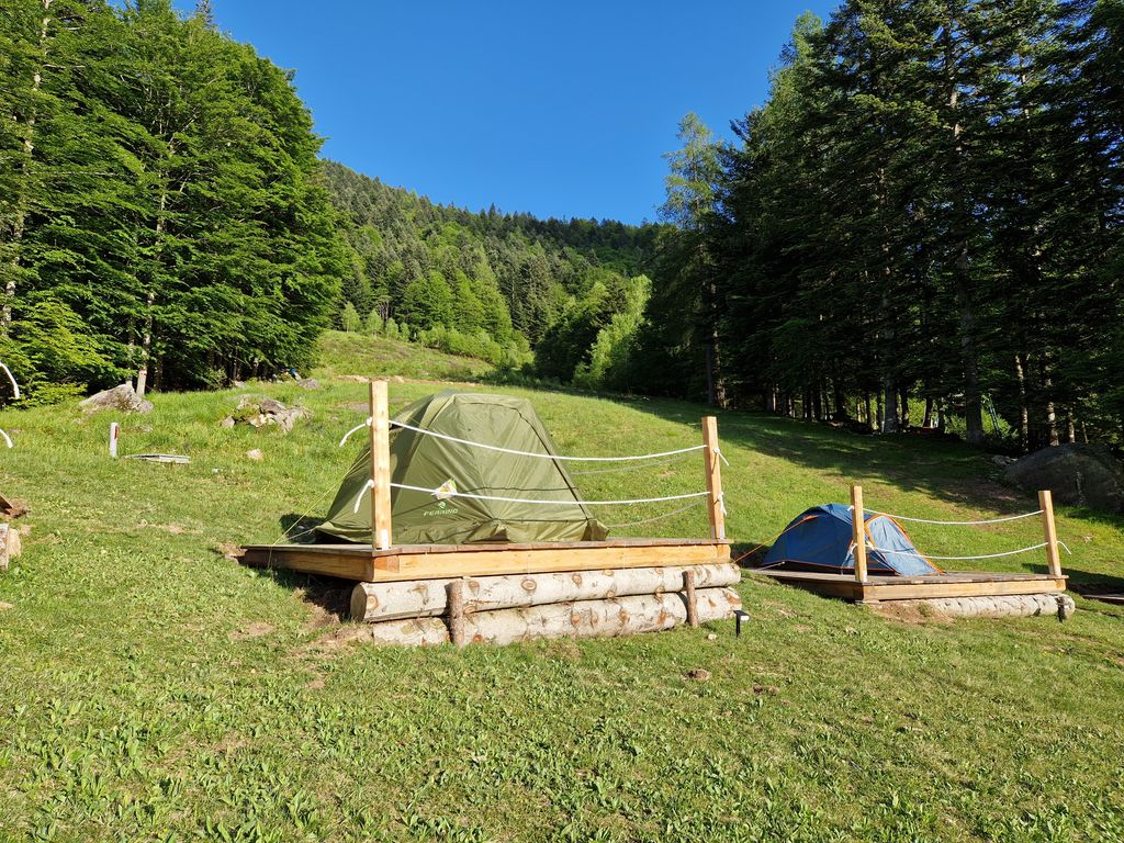 Adventure in the woods of Valsesia - 4 people