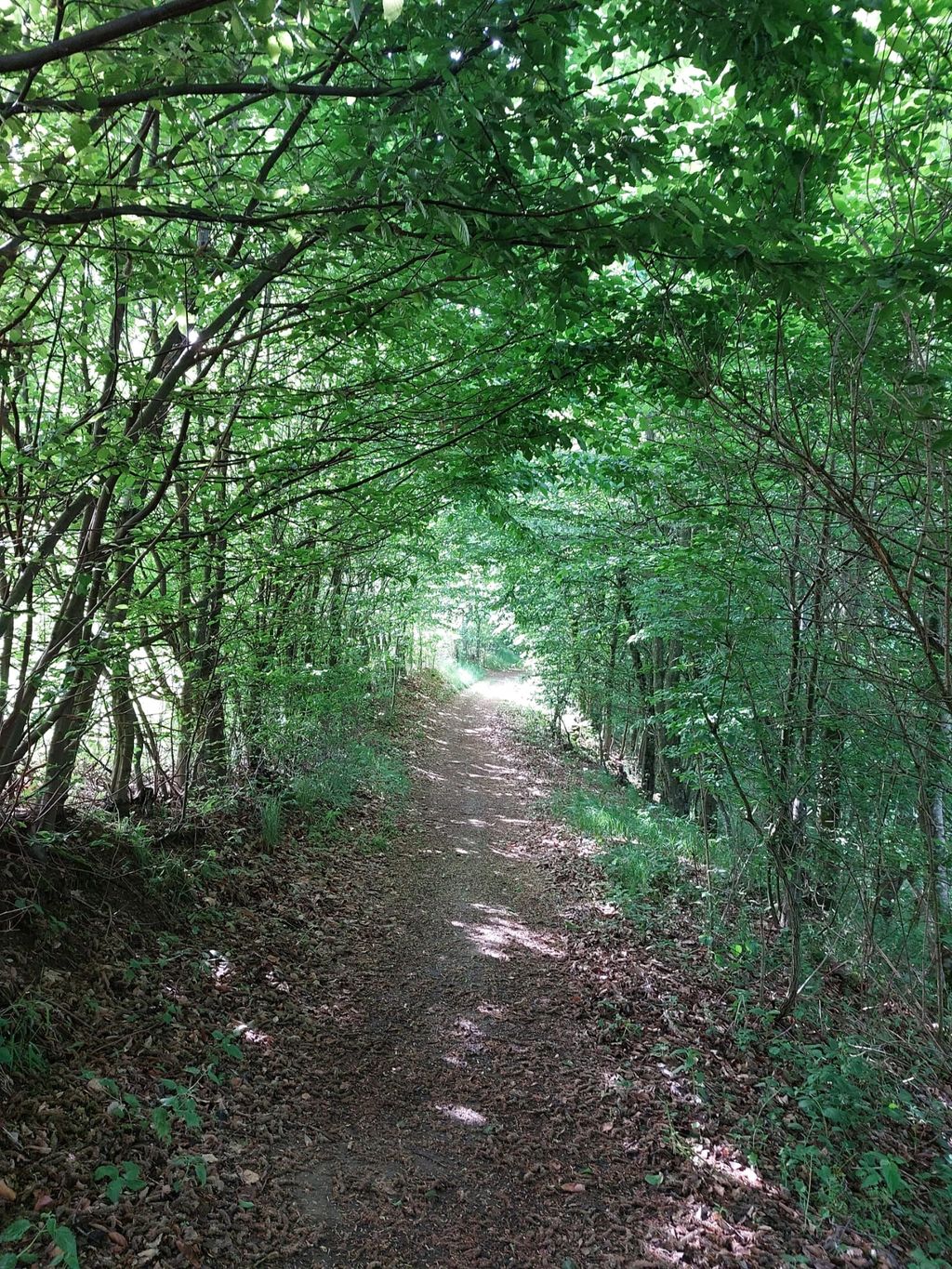 Camping au-dessus de la merveille naturelle qu'est le Donauschlinge