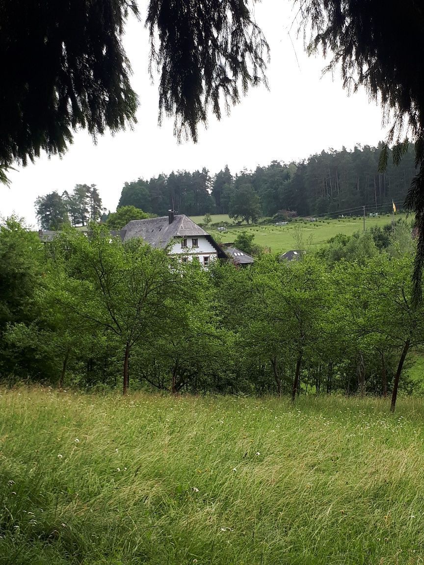 Lugar 3 Pradera de burros ......    En el aquí y ahora