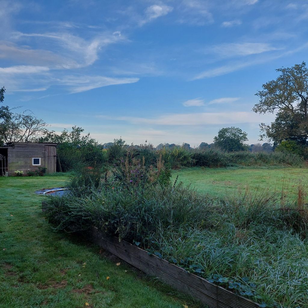 Pradera tranquila junto al río: Naturaleza y vida salvaje