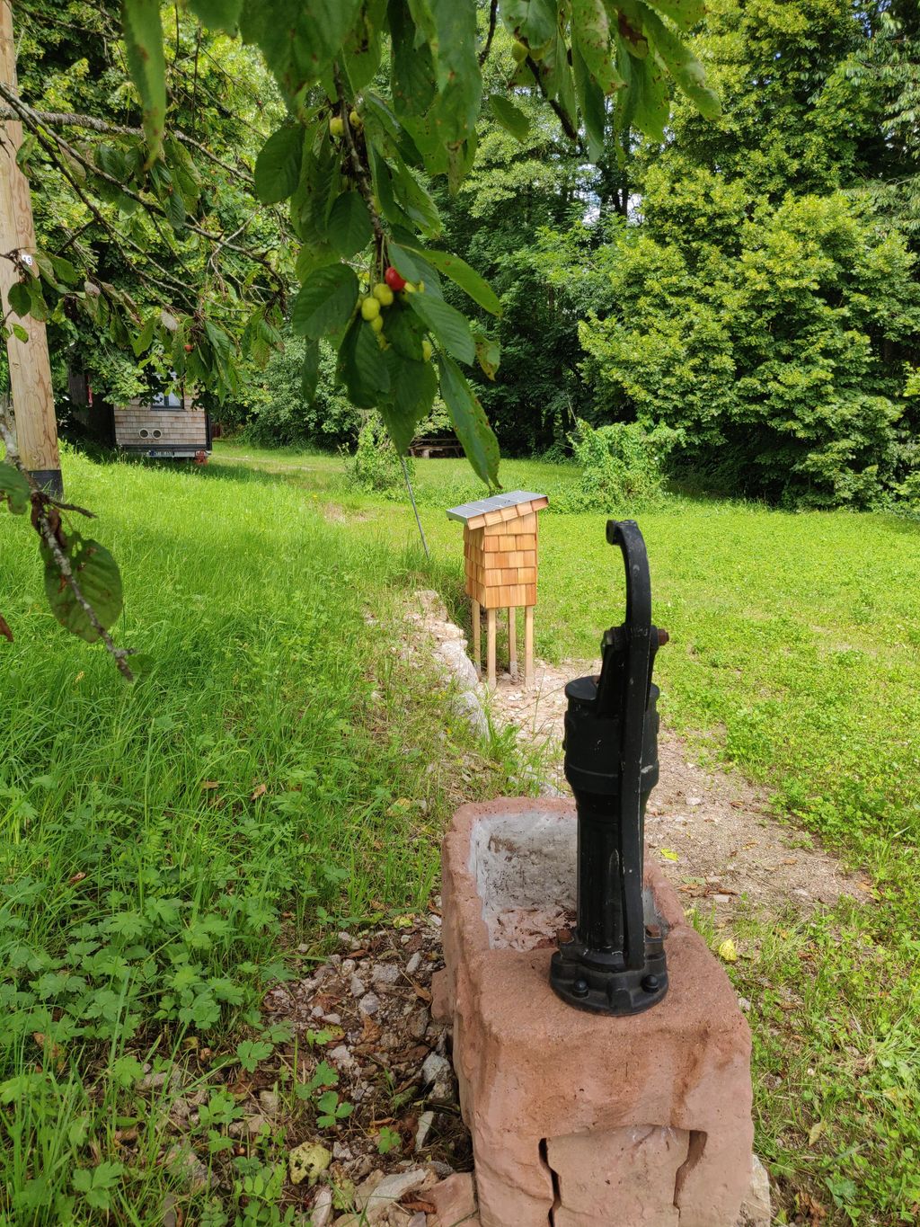 Entre el arroyo y los frutales del Rin
