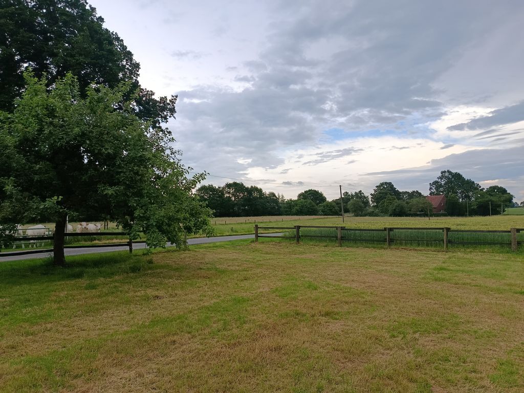 A spot on the lawn next to the fruit trees 