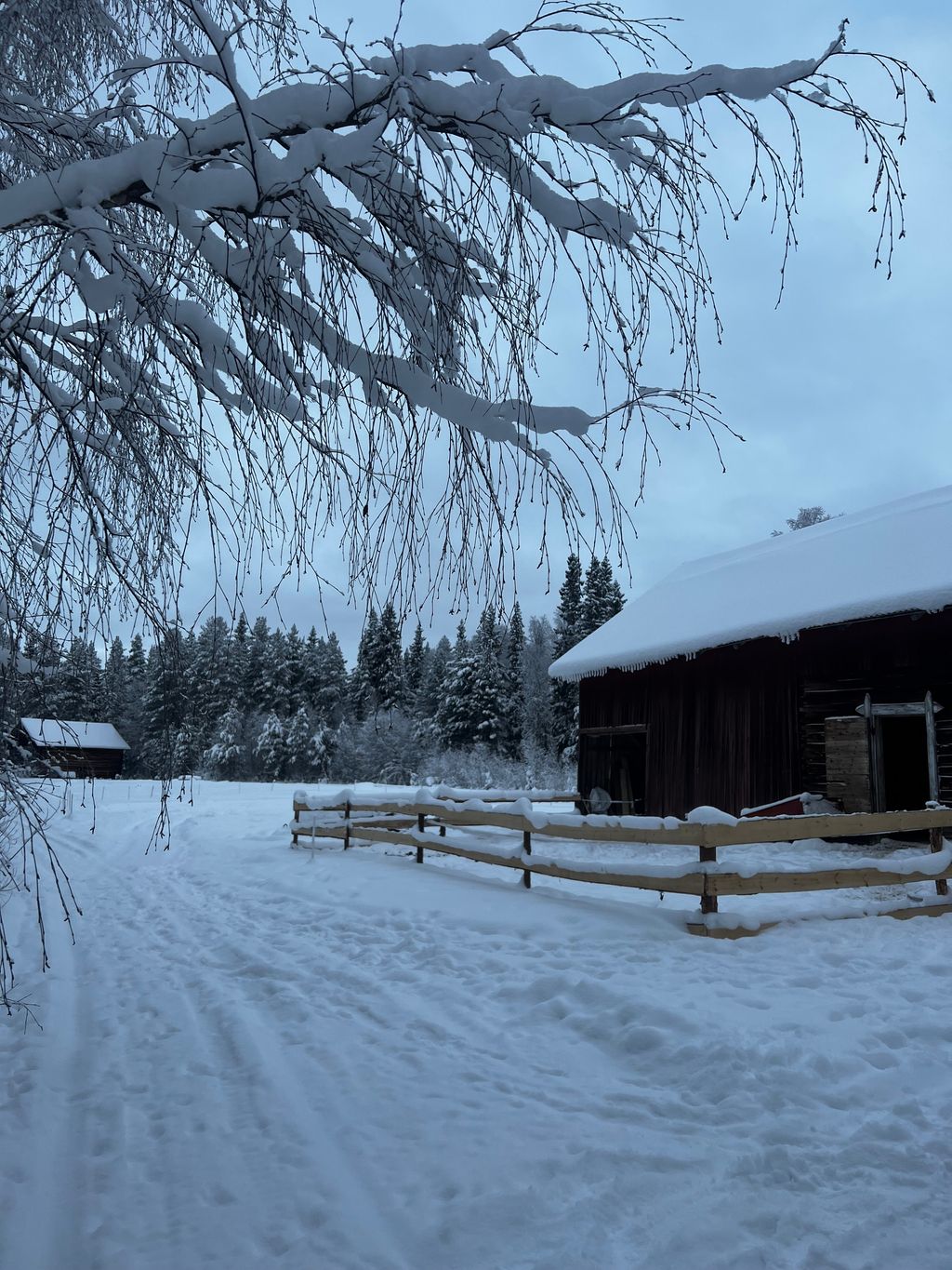 Starte dein Lappland Abenteuer jetzt!